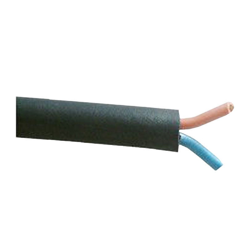 cable souple 2*1.5