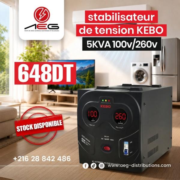 STABILISATEUR 5KVA HDR KEBO 100V