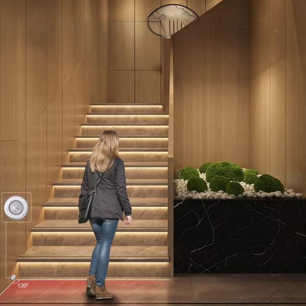 Contrôleur de Détecteur de Mouvement – Allumage Automatique