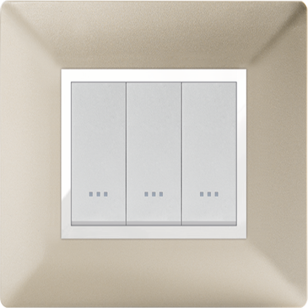 Technopolymère Champagne