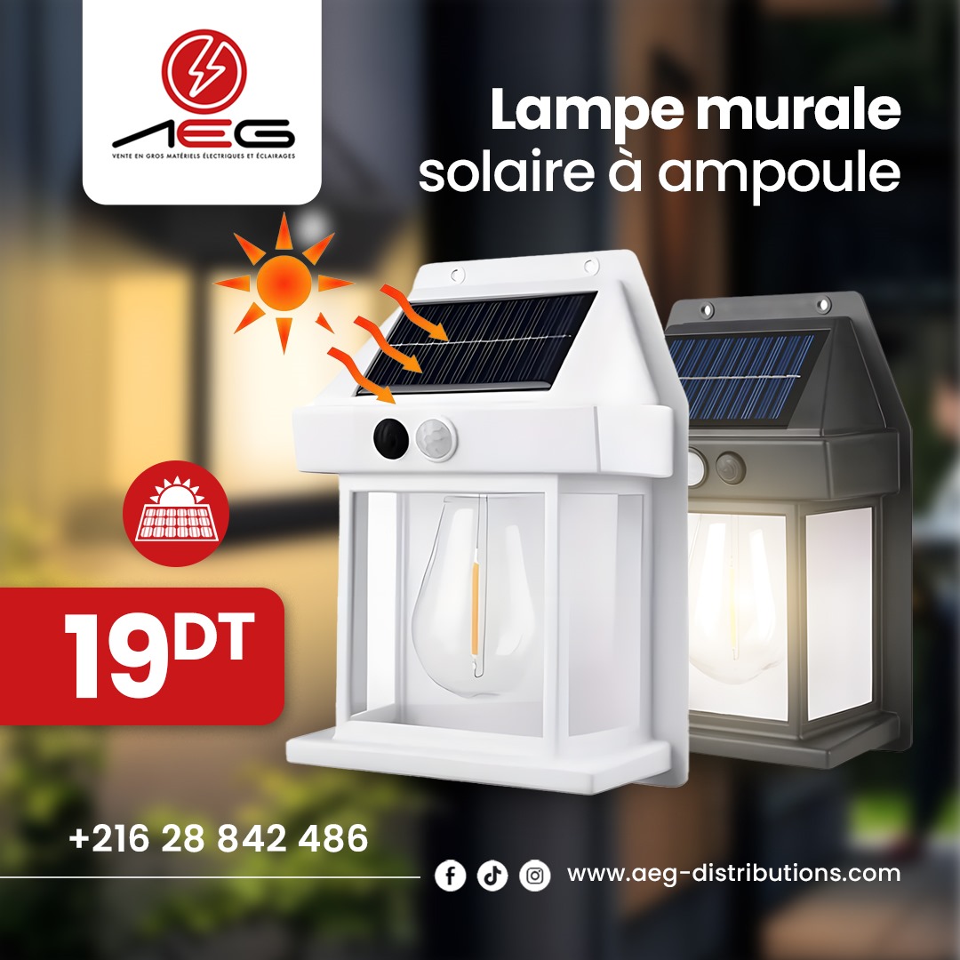 Lampe murale solaire à ampoule