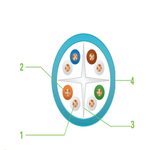 Câble CAT6 U/UTP 4 ou 2x4 paires PVC