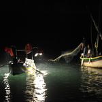 Lampe de peche 500W (Lamparo)