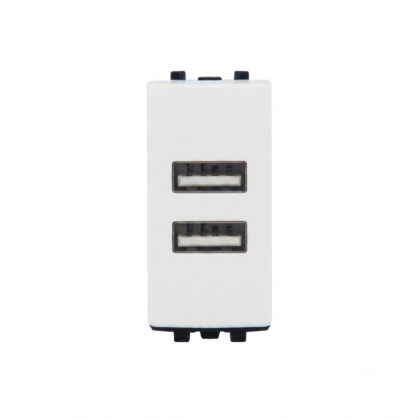 Chargeur USB Mural 2 Sorties 2.1A 7096 – Prise USB Blanche pour Appareillage Électrique
