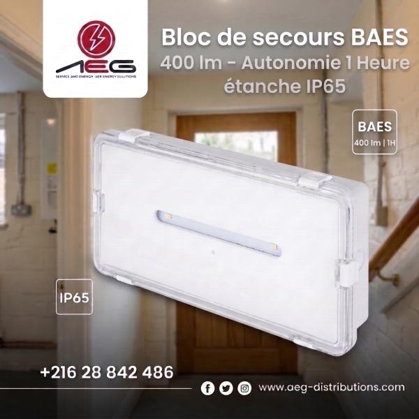 Bloc de Secours BAES 400 lm – Autonomie 1 Heure