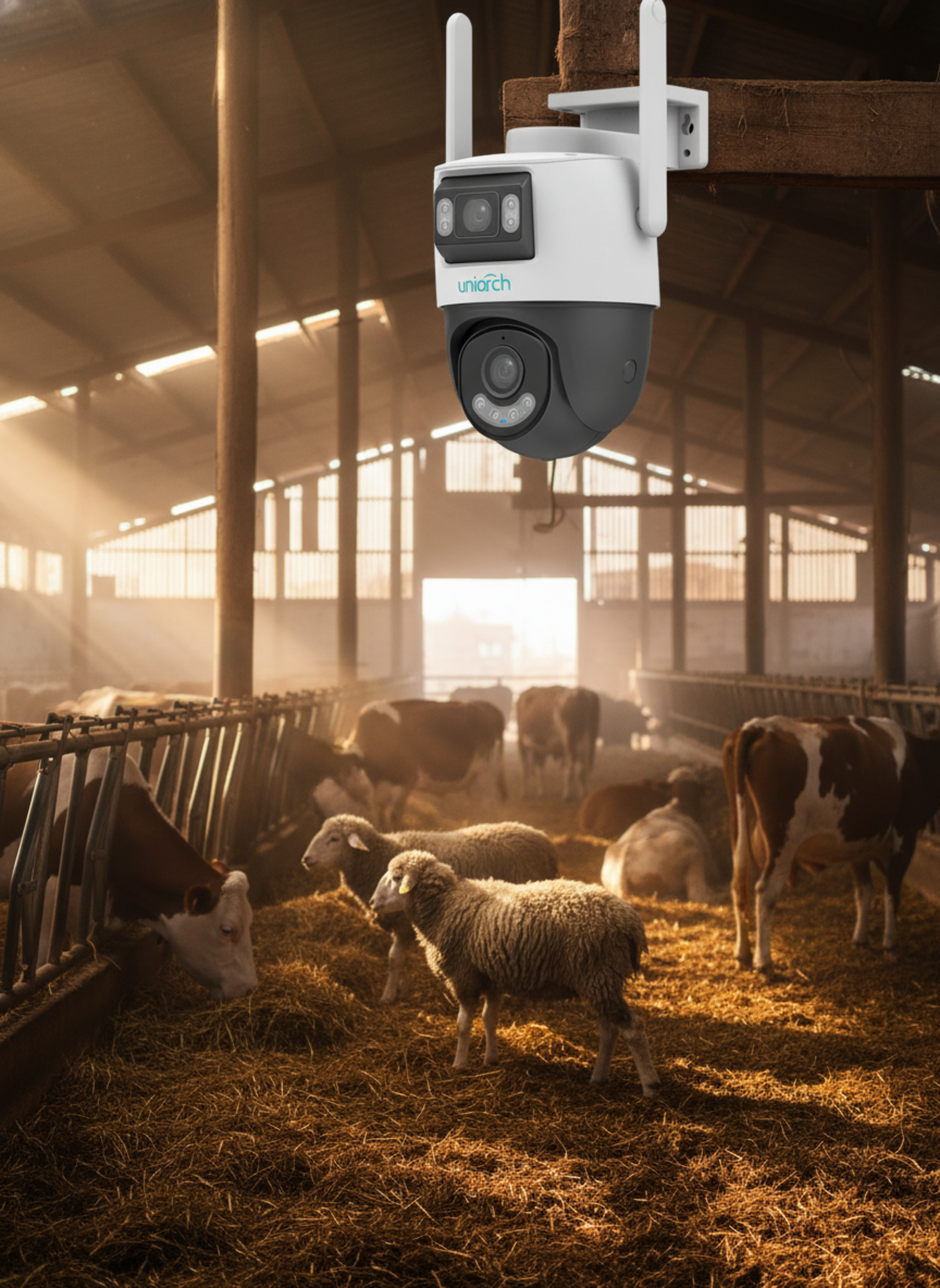 Jenta-Plan-Post-6-2k-1775570973131